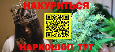 стафф Новокубанск