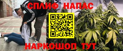 стафф Новокубанск