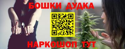 стафф Новокубанск