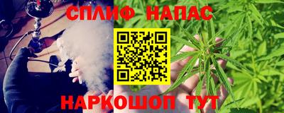 стафф Новокубанск