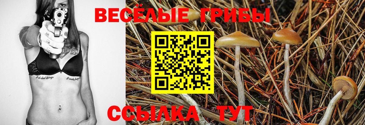 Соль-Илецк  Псилоцибиновые грибы MAGIC MUSHROOMS  Вход с VPN 