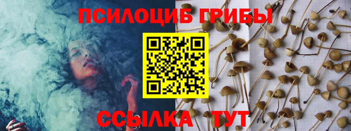 Галлюциногенные грибы Psilocybine cubensis Соль-Илецк